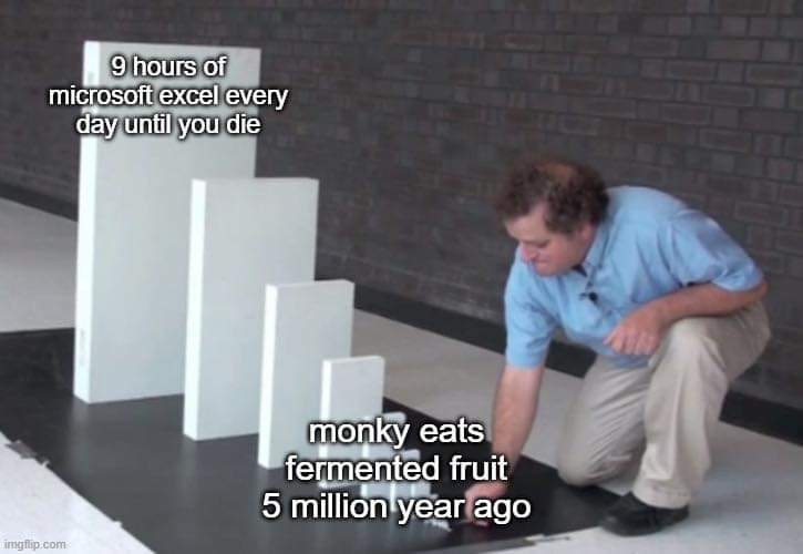 monkeyexcel.jpg