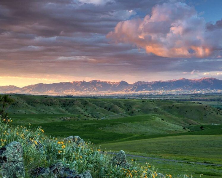 montana.jpeg