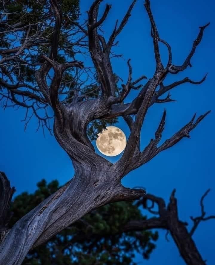 moon.jpeg