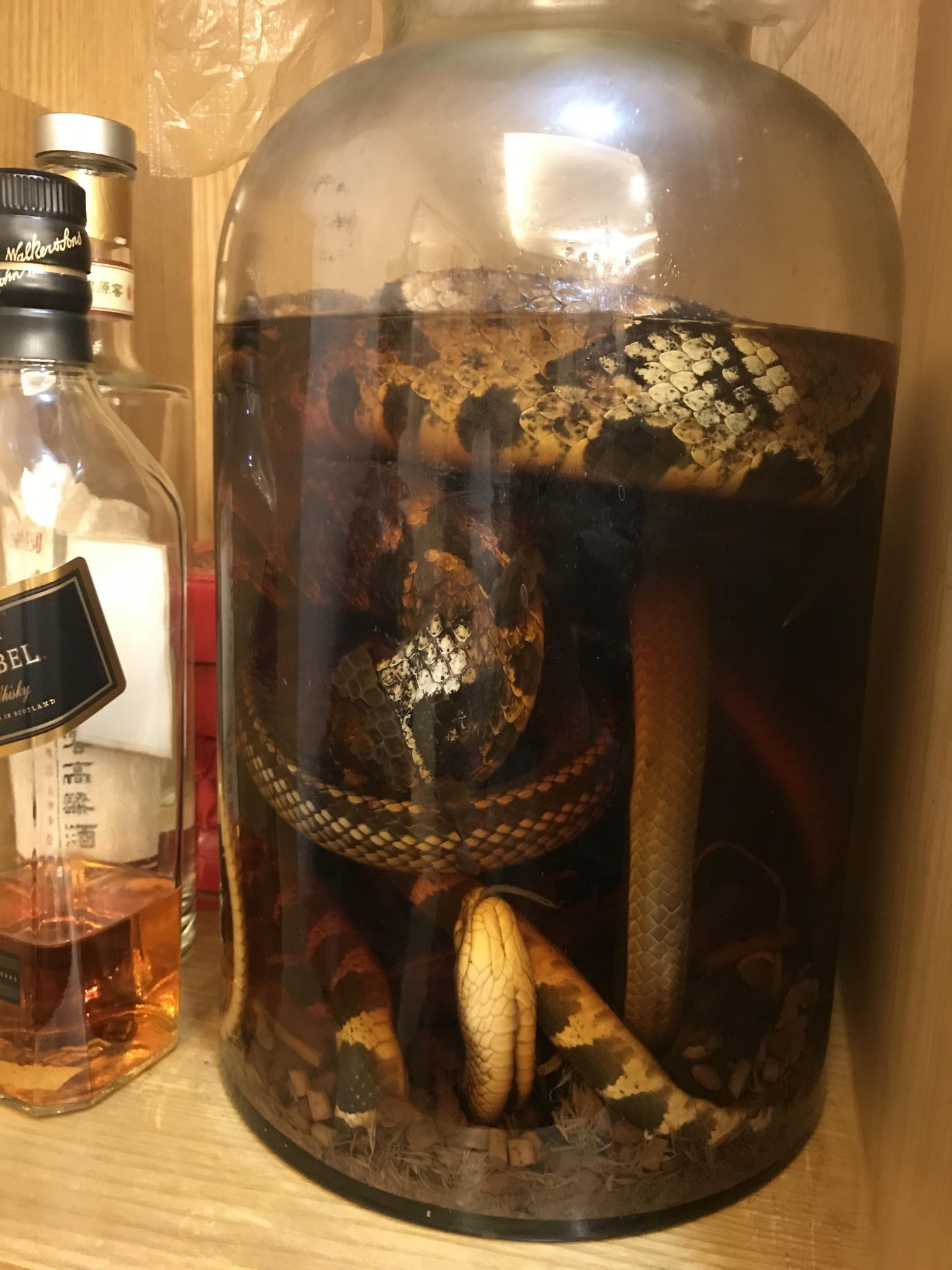Moonshine.jpg