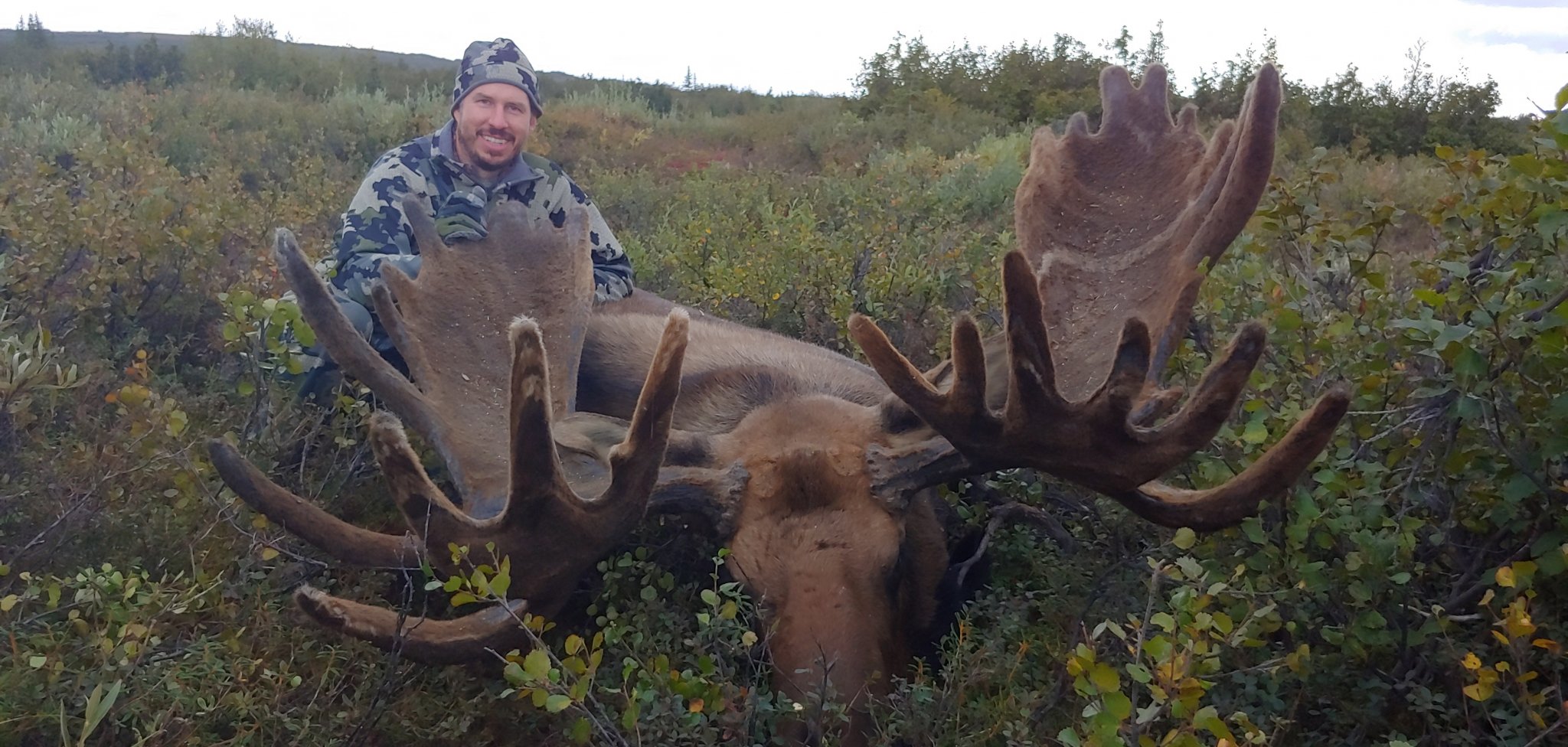 Moose 2019.jpg