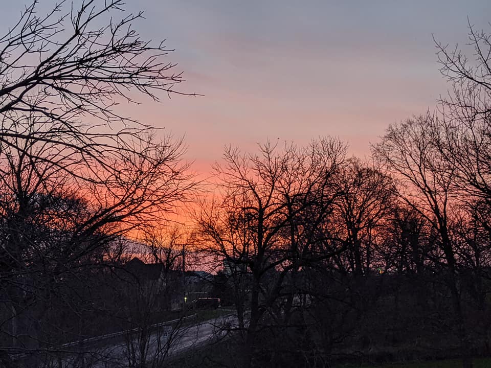 Morning from Becca's window.jpg