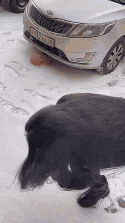 morning_gifdump_183_24.gif