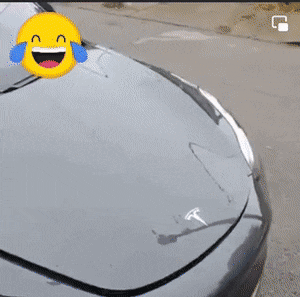 morning_gifdump_332_04.gif