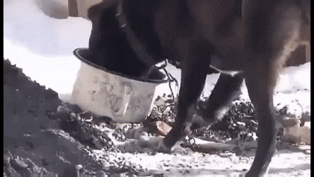 morning_gifdump_33_02.gif