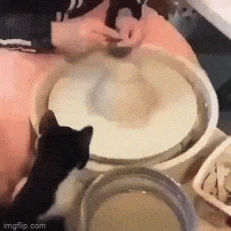 morning_gifdump_597_02.gif