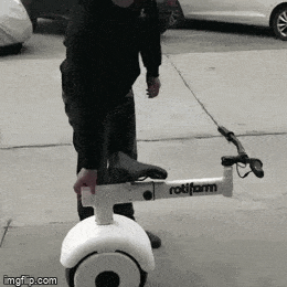 morning_gifdump_644_19.gif