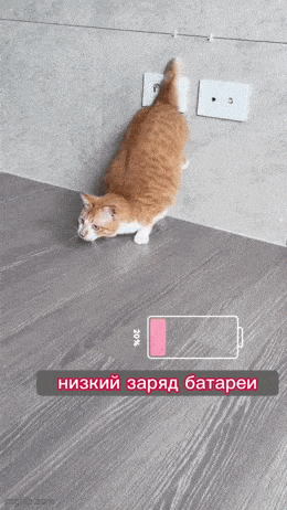morning_gifdump_760_10.gif