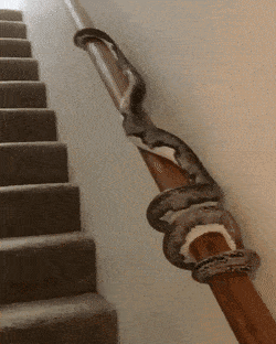 morning_gifdump_90_20.gif