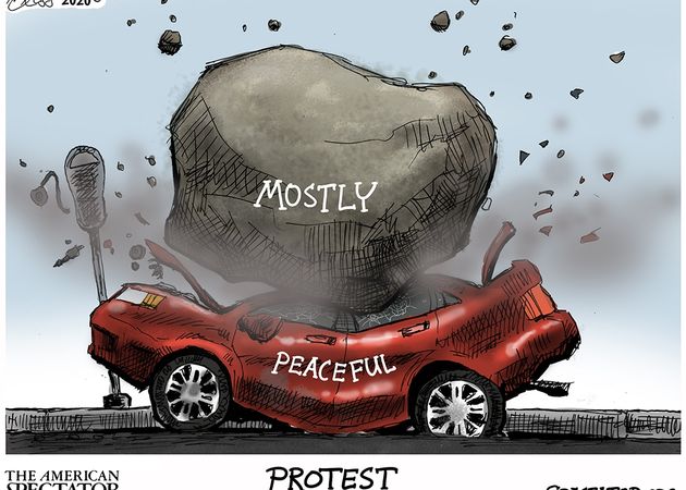 Mostly_Peaceful_Spectator_Small20200803010417.jpg