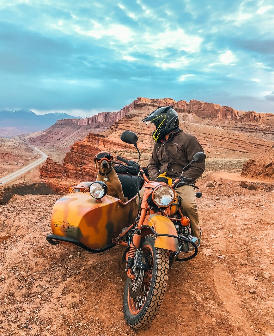 moto-dog.png