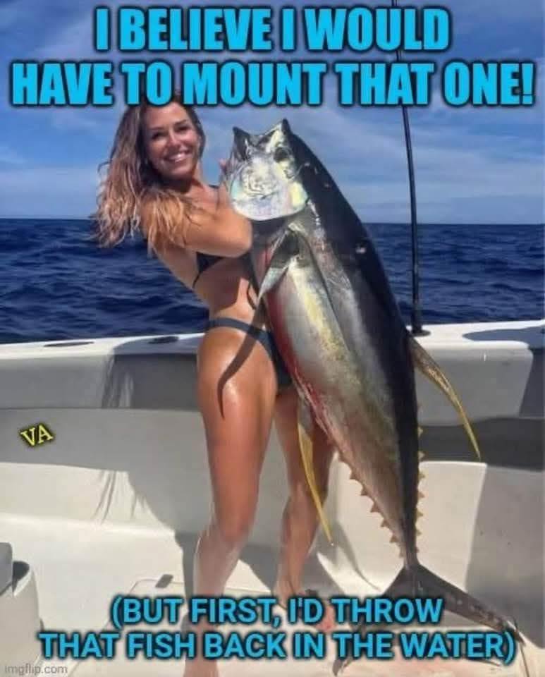 MOUNT.jpg