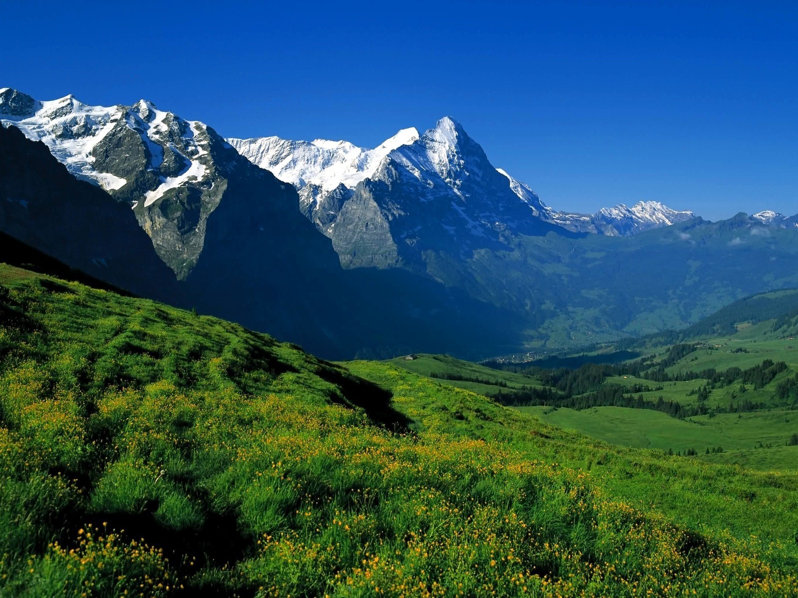 mountains-landscapes_00264062.jpeg