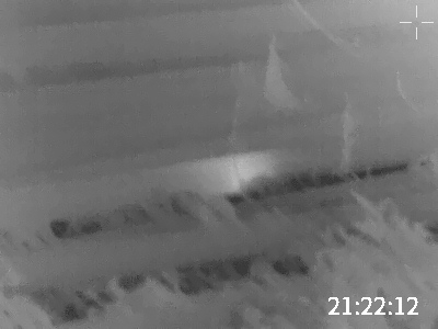 Mouse Hiding in Steel Pipe (1).jpeg