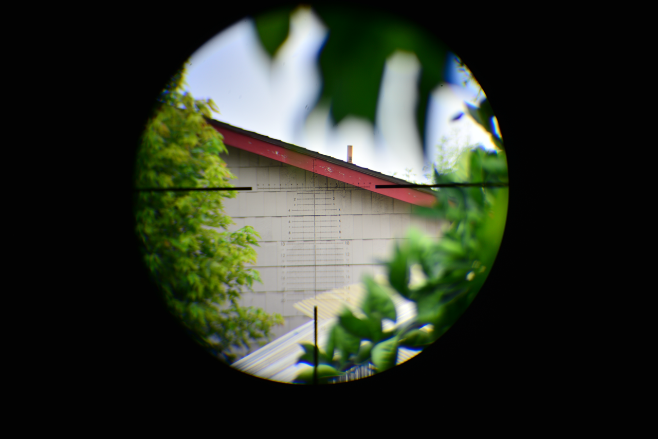 mpoed-6x Large.png