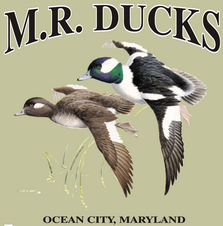 MR-Ducks.png