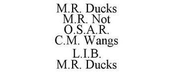 MRDucks.jpg