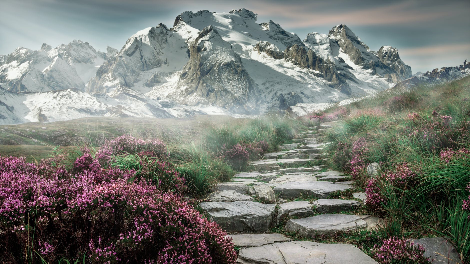 mtns.jpg