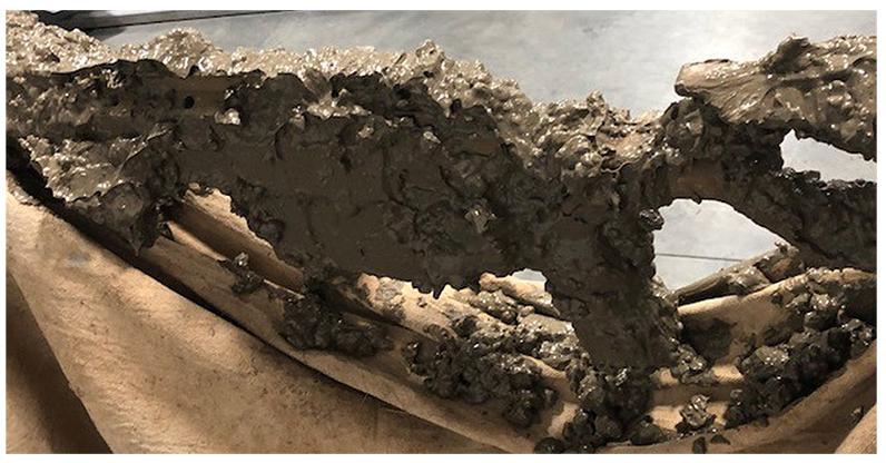 Mud-crop.jpg