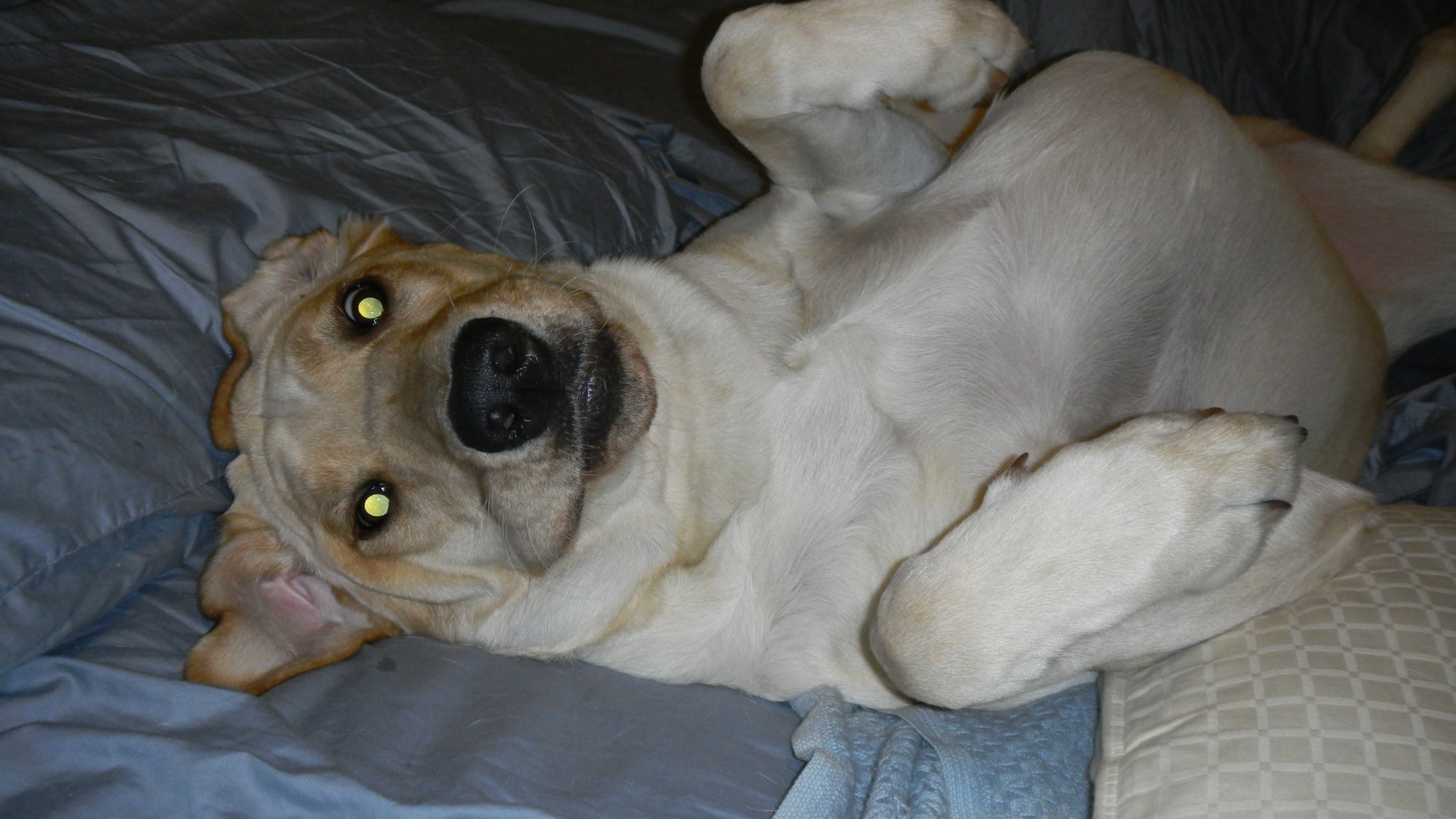 Murphy upside down 004.jpg