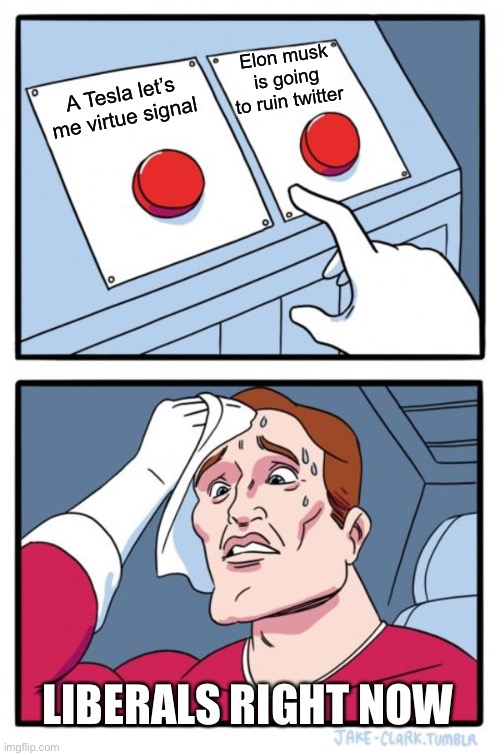 musk.JPG
