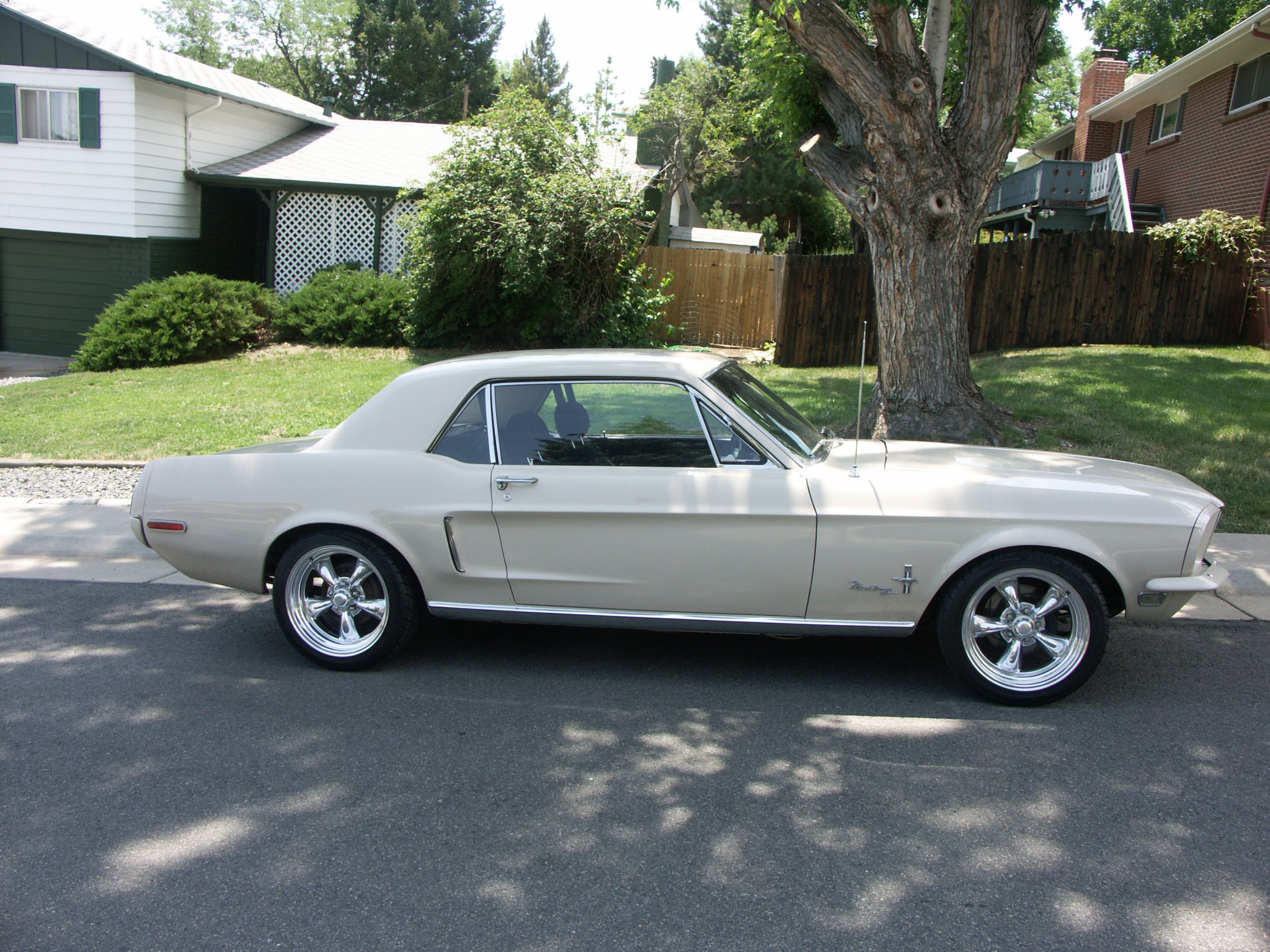 Mustang 015.jpg