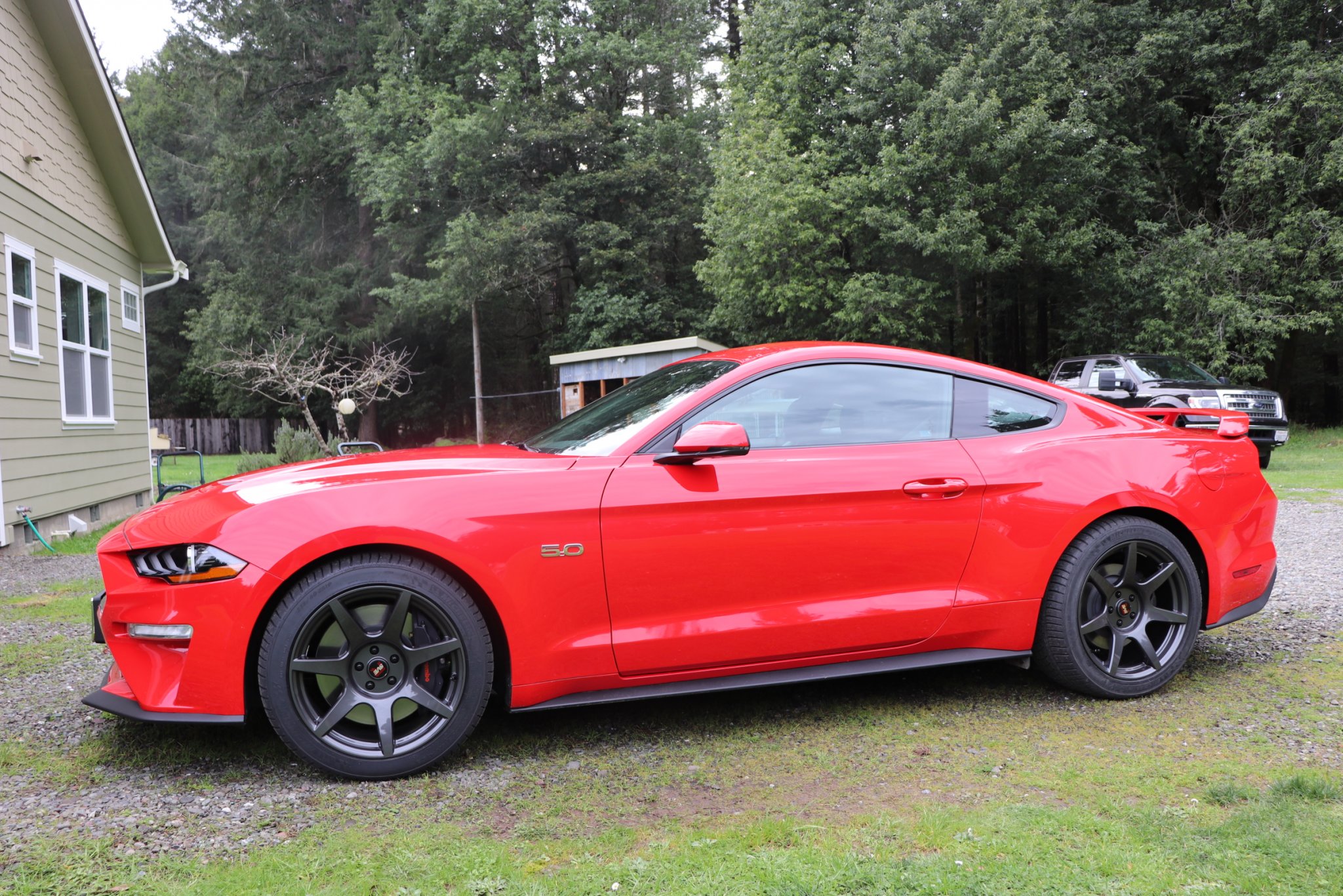Mustang 2018.JPG
