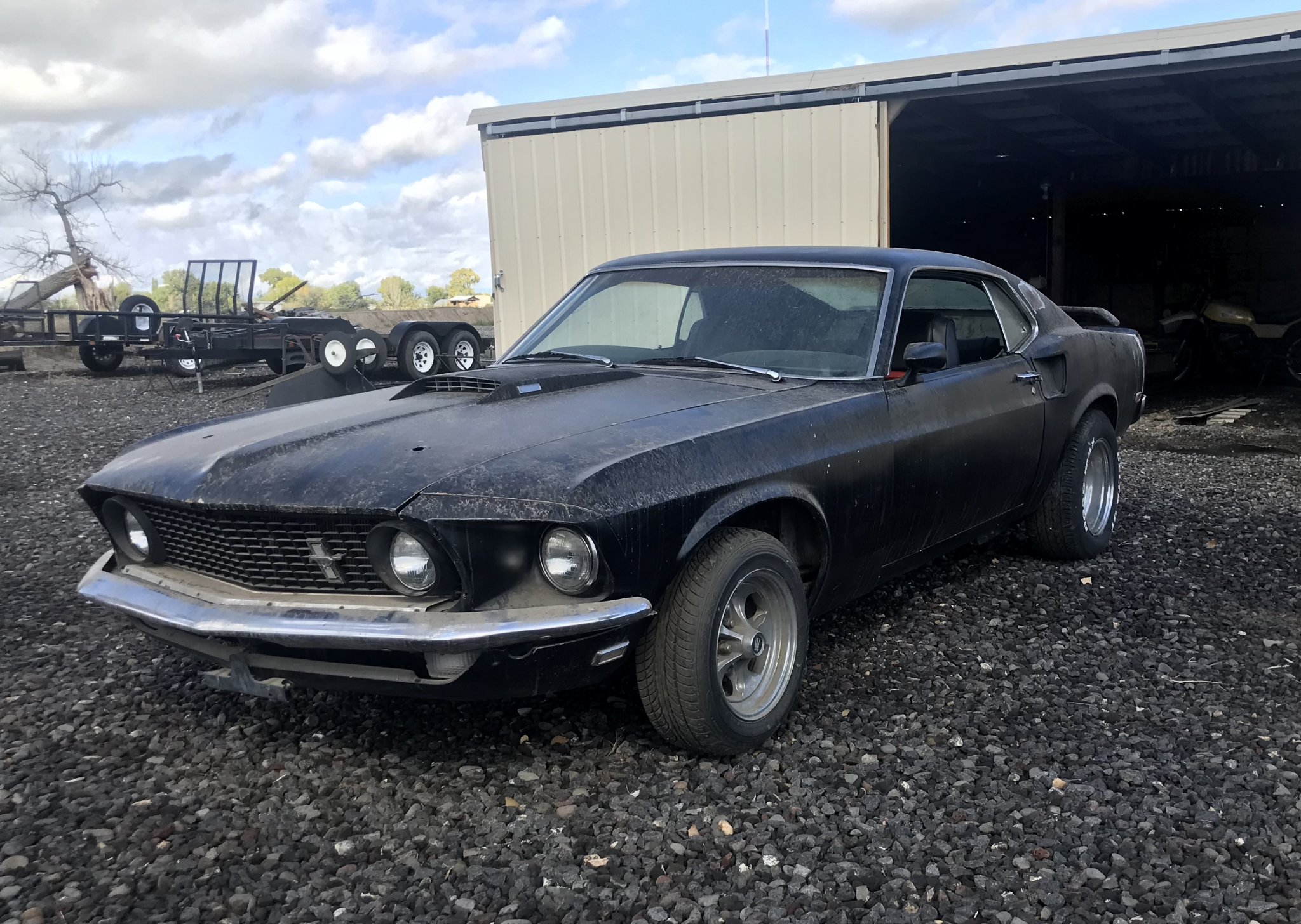 Mustang 69.jpg