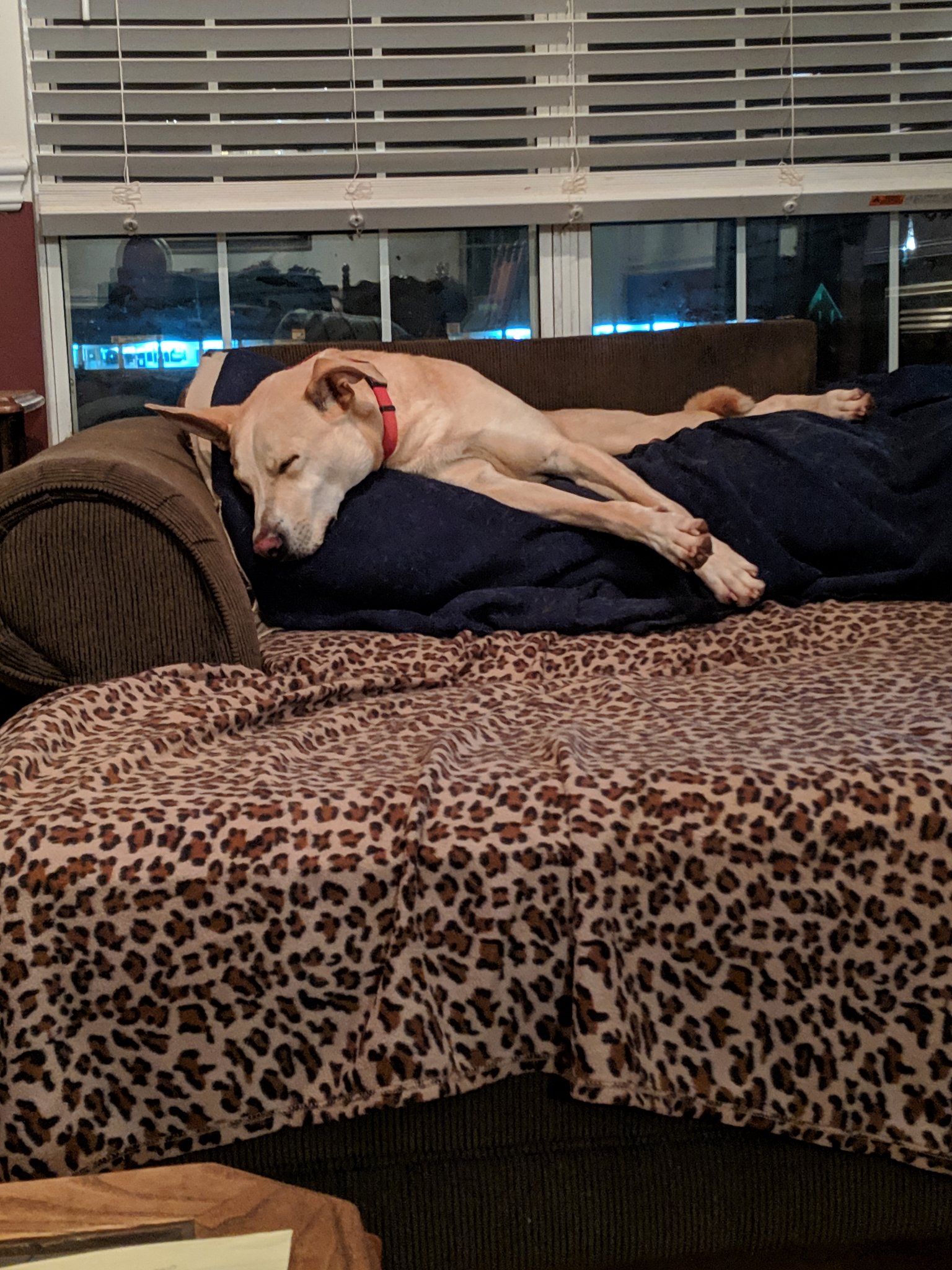 MVIMG_20190223_214225.jpg