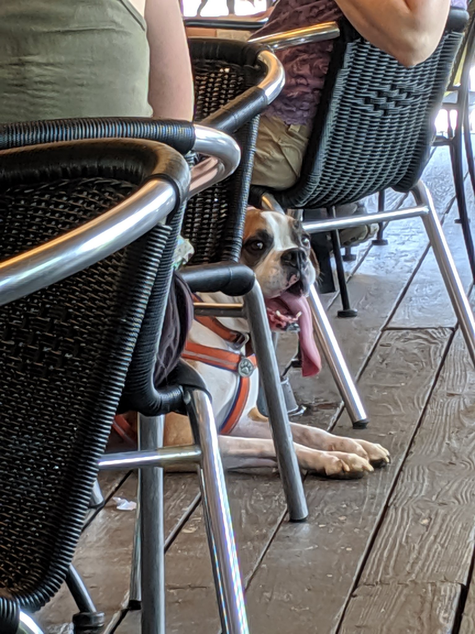 MVIMG_20190525_143121.jpg
