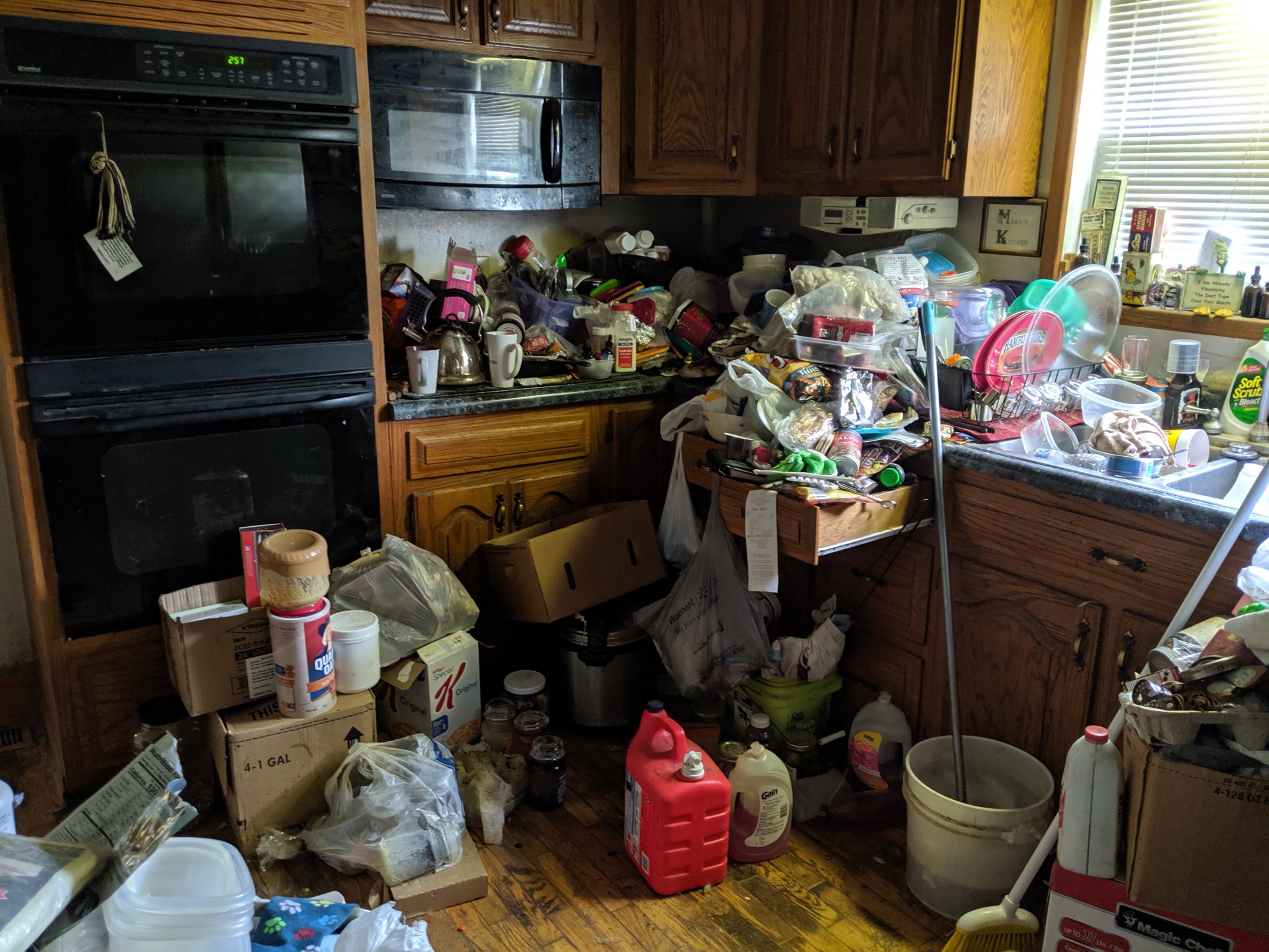 MVIMG_20190703_145243.jpg