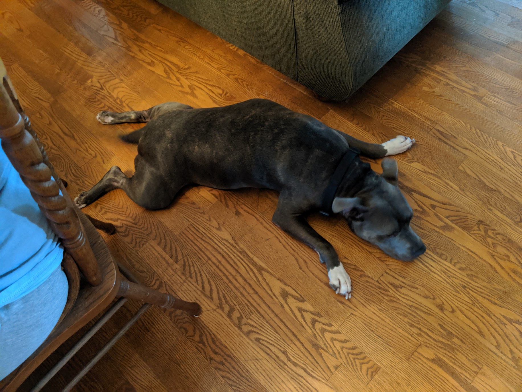 MVIMG_20190904_190753.jpg