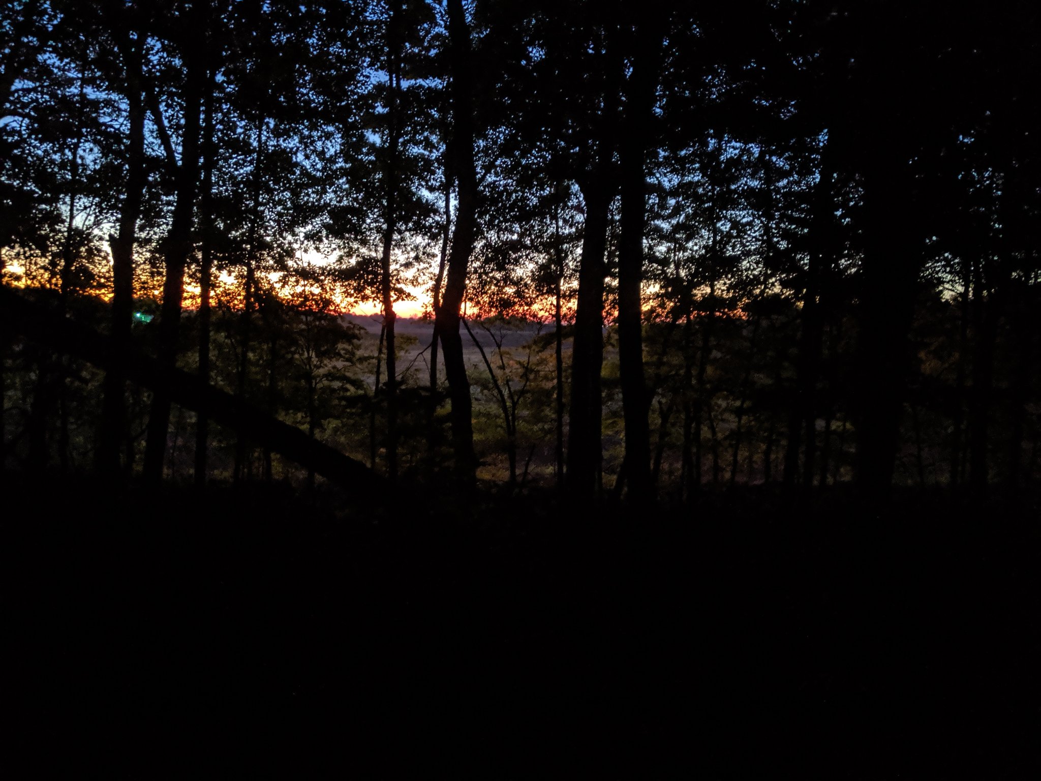 MVIMG_20191018_071430.jpg
