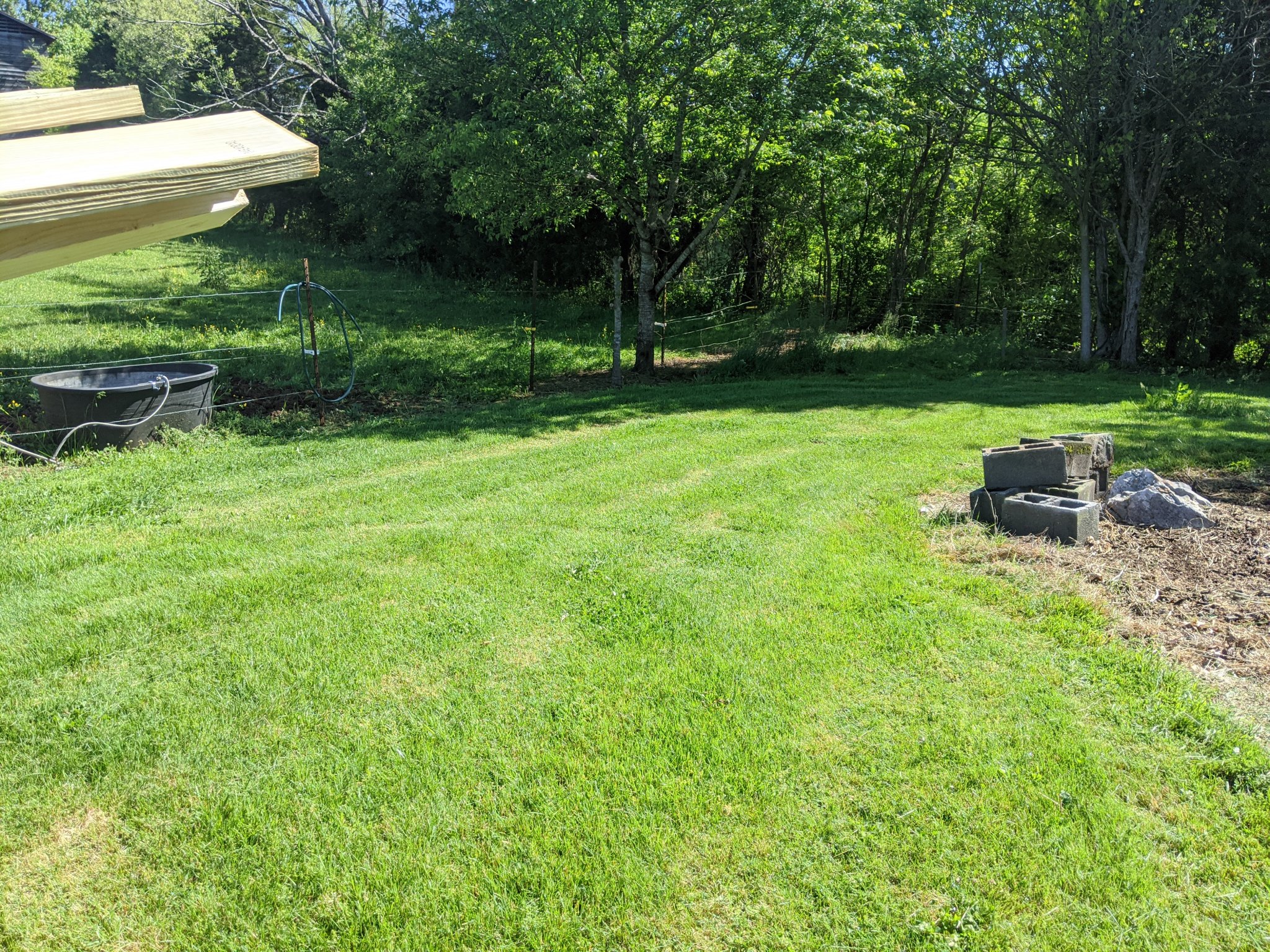 MVIMG_20200509_102627.jpg
