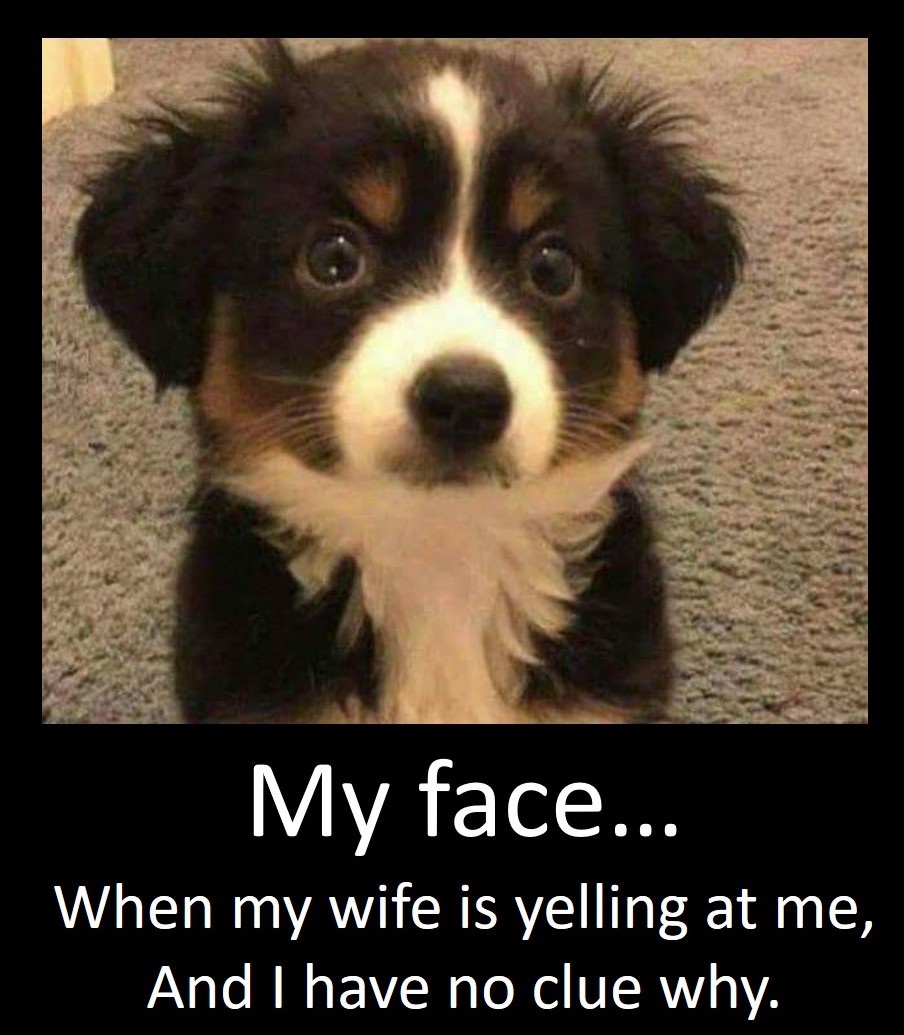 my face.jpg