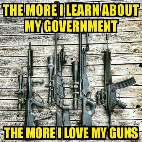 my govt.jpg