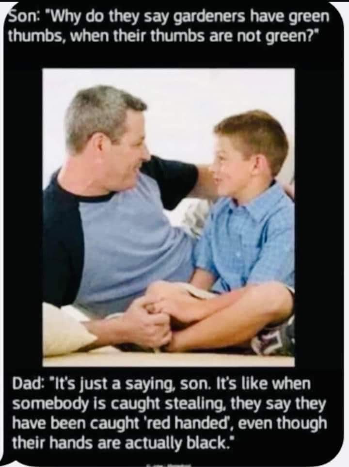 n10ux1mqmt991.jpeg