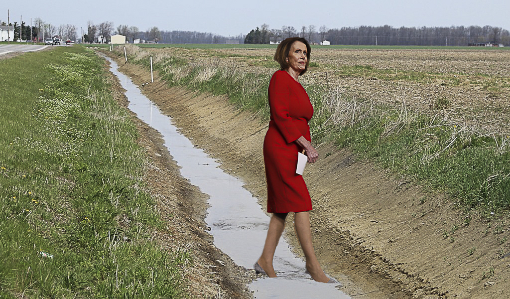 nancy.jpg