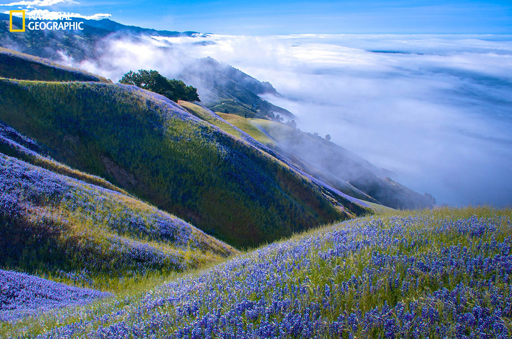 national-geographic-2014-photo-contest.jpeg