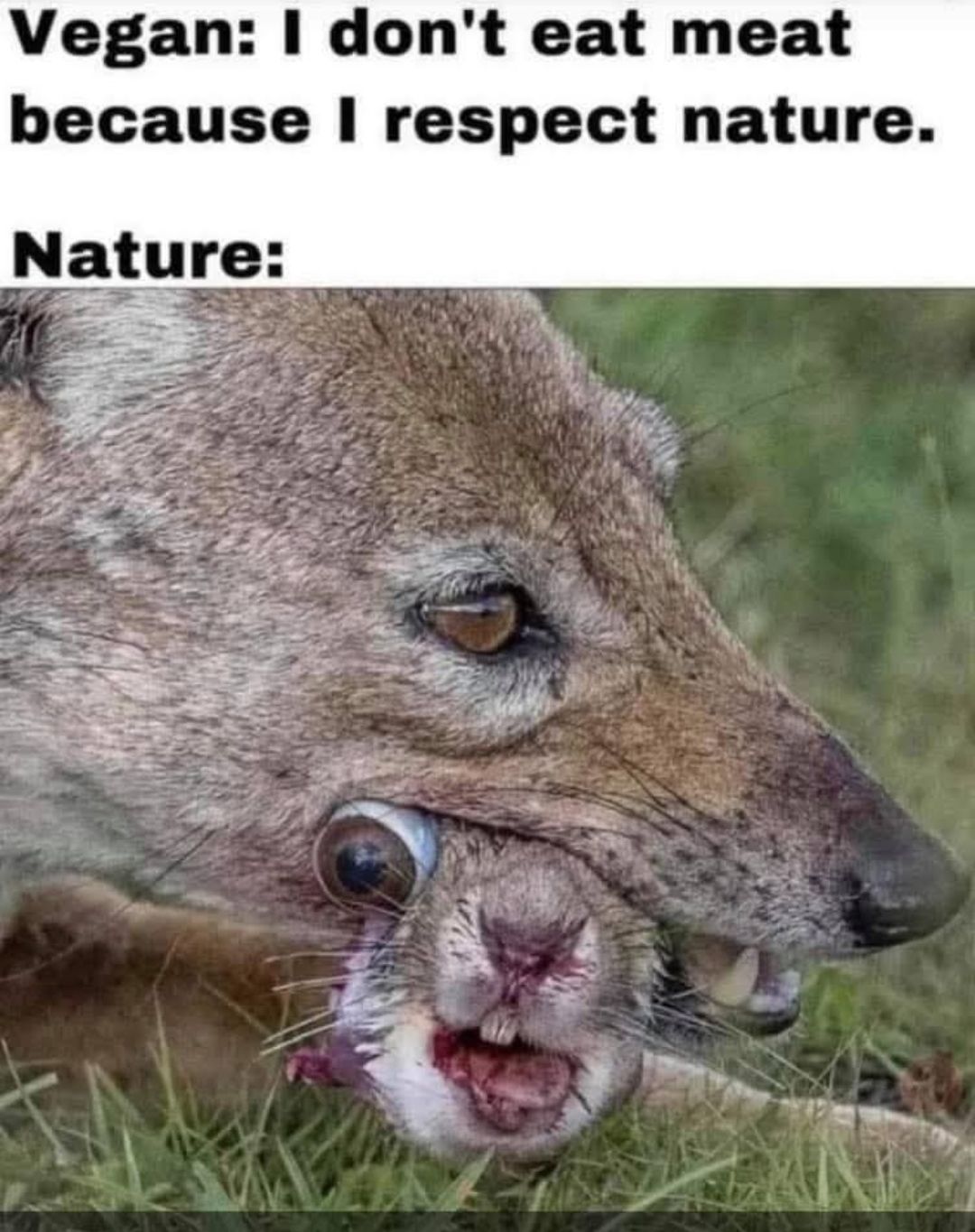 nature.jpg