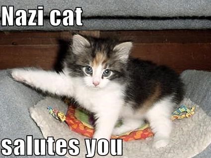 nazicat.jpg