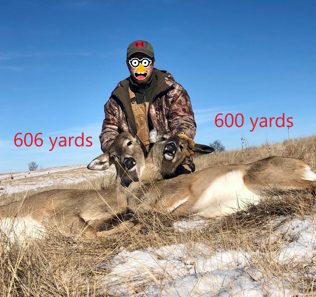 NE January late doe x2.jpg