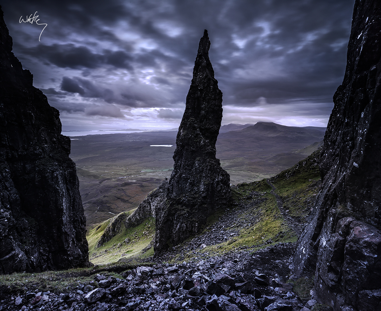 needle.signed.x1200.jpg