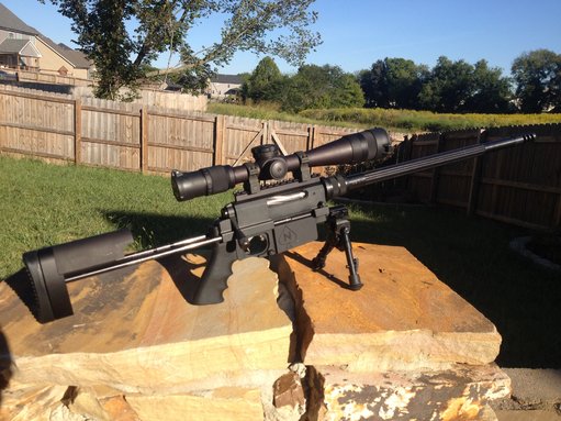 Nemesis Arms 17.JPG