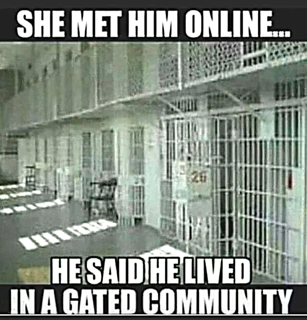 netfun16jpg-png.png