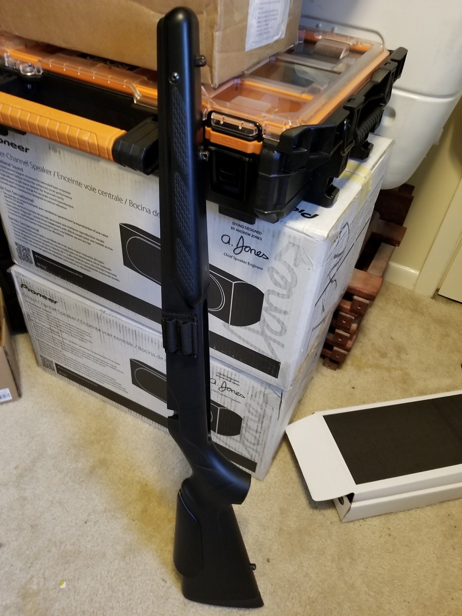neutered CTR stock.jpg