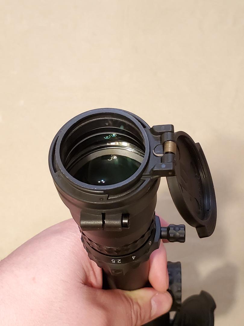 NF 2-20 back ocular II.jpeg