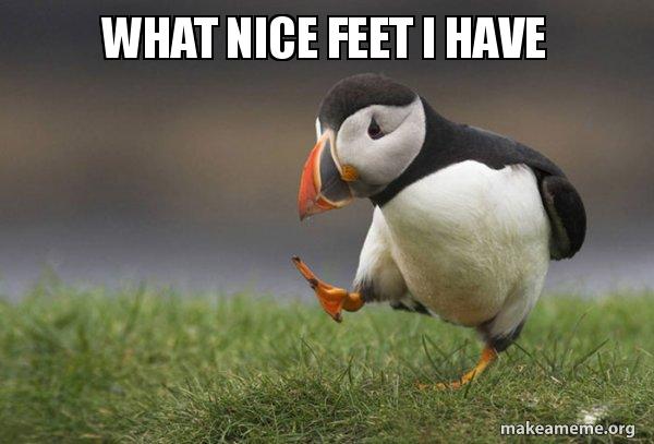 Nice Feet I Have.jpg