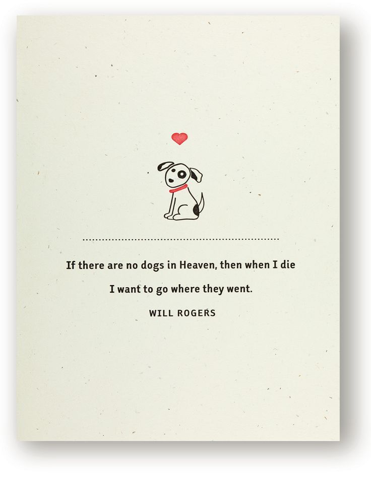 No dogs in Heaven.jpg