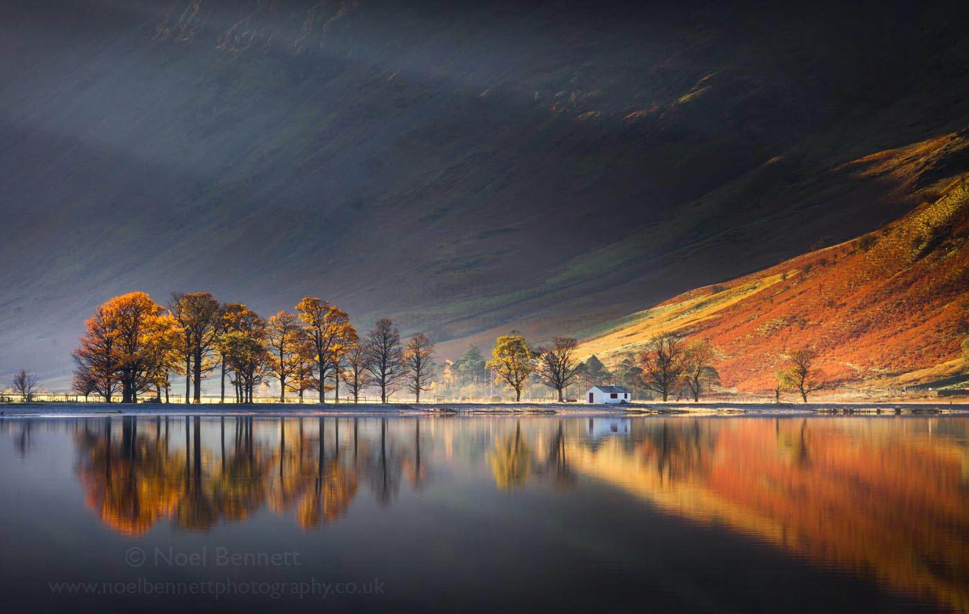 Noel Bennett autumn winner 1.jpeg